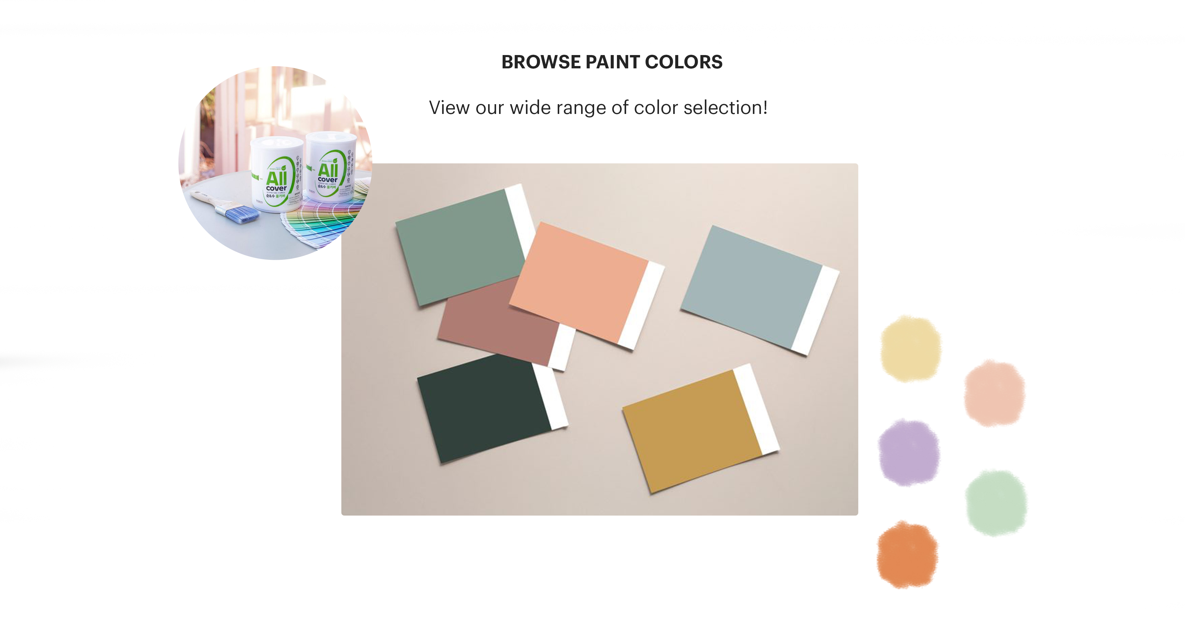 Noroo paint has water-based formula